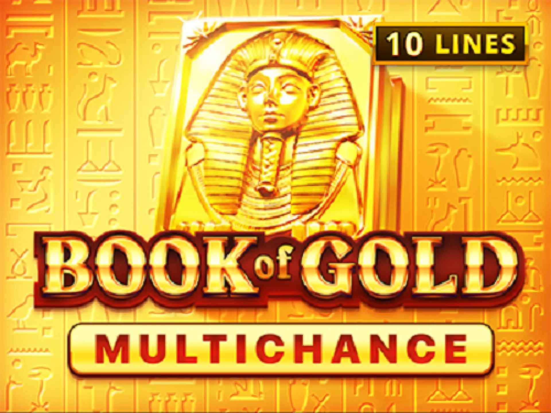 Book Of Gold Multichance